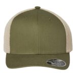 Olive/Stone